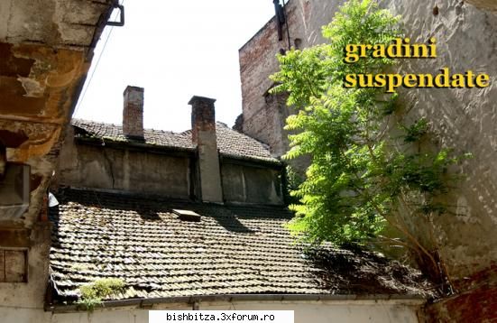 gradina gradina suspendata arad, piata mihai viteazul