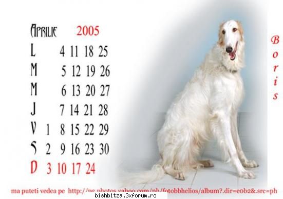 Calendare 2007 cu catelusii Dvs ! - executam Calendare 2007 cu catelusii Dvs - Foto & Video