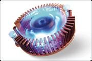 titan cooler titan pt. placi video