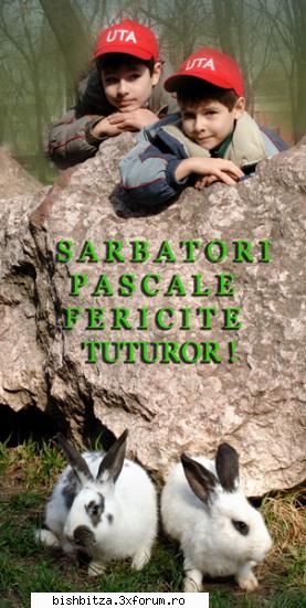 Felicitari si fotopostere de Paste- - Sarbatori Pascale Fericite tuturor ! - Foto & Video