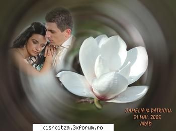 In curand incep nuntile - video-slideshow - Foto & Video
