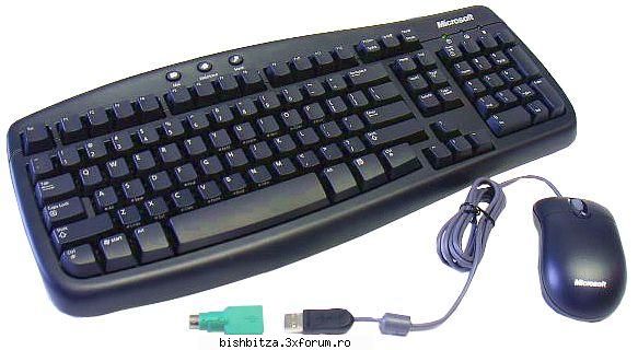 Kit Tastatura + Mouse Microsoft Basic Black Value Pack - Vand Tastatura + Mouse optic - Computer Stuff
