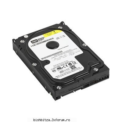 Western Digital 80 GB HDD S-ATA II - ThEKinG - Computer Stuff