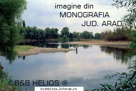 oferiti cadou de nunta - Oferiti cadou de nunta fotopostere realizate de - Foto & Video