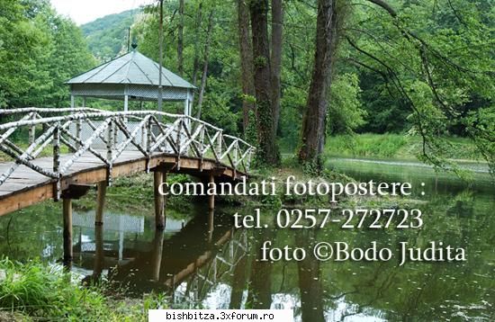oferiti cadou de nunta - Oferiti cadou de nunta fotopostere realizate de - Foto & Video