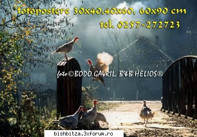 oferiti cadou de nunta - alegeti din banca noastra de imagini - realizam - Foto & Video