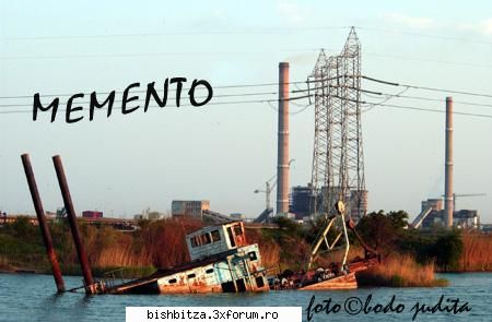 oferiti cadou de nunta - a.vlaicu - Foto & Video