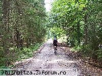 plimbari cu bicicleta... :) - bertyy - Free for all